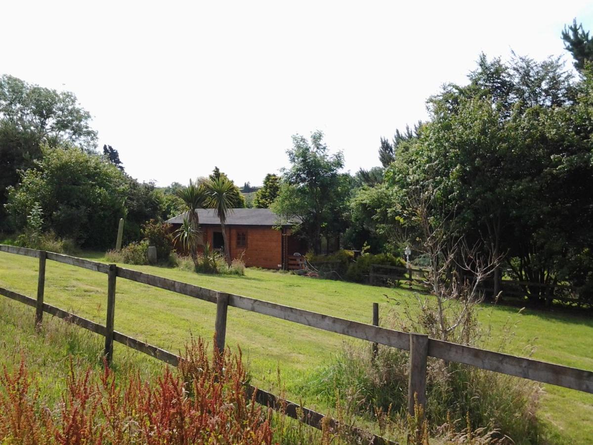 Tudor Lodge Liskeard Eksteriør billede
